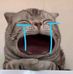 Daniel Manik - Facebook