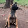 Daniel Manjarrez - @daniel.manjarrez658 - TikTok