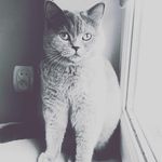 @daniel.mankowski65 - Instagram