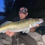 Daniel Mannheim - @mannheim.daniel - Instagram