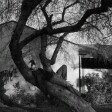 Daniel Pérez - @daniel_manno_ - Instagram