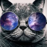 @danielmanny66 - Instagram