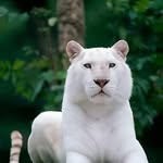 Daniel Mansell - @daniel.mansell.79 - Instagram