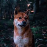 Daniel marana - @danielmar320 - Instagram