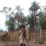Daniel Marana - @danielmaranaguajajara - Instagram