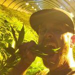 Daniel Marble - @marbledaniel - Instagram
