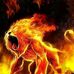 Daniel Marcellus - Facebook