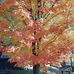 Daniel Marcoux - Facebook