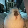 Danielle Marcum - @daniellemarcumm - TikTok
