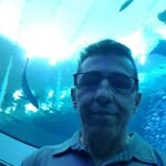 Daniel Mardini - @mardinidaniel2 - Instagram