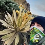 Daniel Marin - @danielmarinph - Instagram