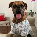 ➤ Marmaduke ⍣ - @marmaduke_daniel - Instagram