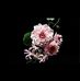 Daniel Marma - Facebook