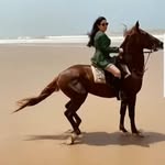 panah - @daniel.marmar - Instagram