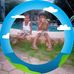 Daniel Maro - Facebook