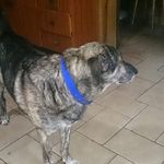 Daniel Marotta - @dah56daniel - Instagram