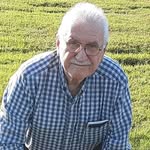Daniel Maroulis - @danielmaroulis12 - Instagram