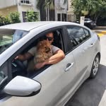 Daniel Marquina - @marquina6424 - Instagram