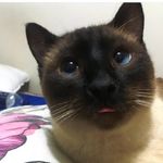 Daniel Marroni - @daniel._.marroni - Instagram