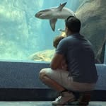 Daniel Marrujo - @daniel.marrujo0314 - Instagram