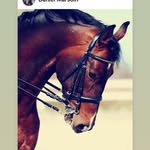 Daniel Marsoin - @danielmarsoin - Instagram