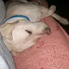Daniel Marson - @daniel.marson8 - TikTok