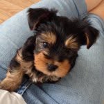 Zein Daniel Marso - @daniel_marso - Instagram