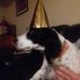 Daniel Martineau - Facebook