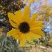 Daniel Martinez - Facebook