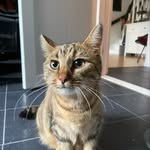 Daniel Martinsen - @tacocat245 - Instagram