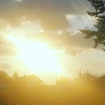 Daniel Martinsen - @daniel.martinsen - Instagram