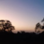 eu_silva - @daniel___martis - Instagram