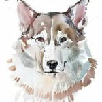 danielgouveiamenezes - @danielm_arts - Instagram