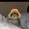 Daniel Marzol333j - @danielmarzol - TikTok