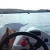 danielmarzec290 - @danielmarzec290 - TikTok