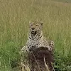 Daniel masek - @danielmasek - TikTok