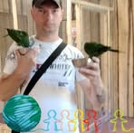 Daniel Masek - Facebook