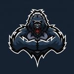 Daniel Massaro - @team.tg.fortnite - Instagram