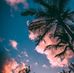 Daniel Musulin - Facebook