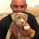 Daniel mas tostado - @danielmastostado - Instagram