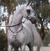 Daniel Matar - Facebook