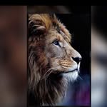 Daniel Matar Barry - @danielmatarbarry - Instagram