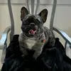 Daniel Matas - @daniel.matas0 - TikTok