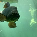 Daniel Matějka - @zajecysvet - Instagram