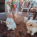 Daniel Mates - @matesdani - Instagram