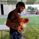Daniel Mathew - @danielmathew01 - Instagram
