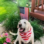 Daniel Mathison - @dmathiso5150 - Instagram