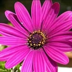 Daniel Matic - @crm566542024 - Instagram