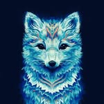 Daniel Matic - @danielm.at_ic536 - Instagram