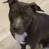 Daniel Matis - @daniel.matis1 - TikTok